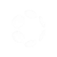 Polkadot
